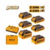 P20S Lithium-Ion battery and charger kit