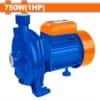 Centrifugal Pump 1HP